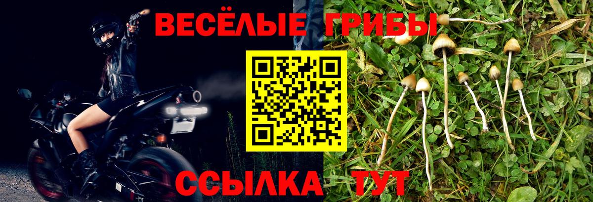 Галлюциногенные грибы Magic Shrooms  Вход с VPN  Пенза 
