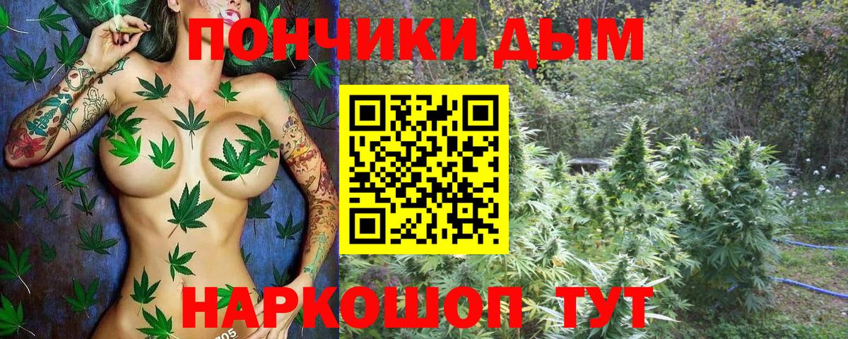 Конопля OG Kush Пенза